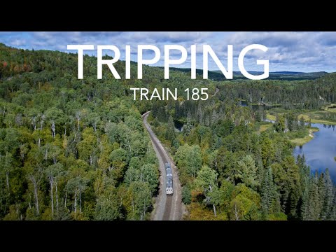 TRIPPING Train 185 | A TVO Original