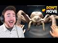 PLAYING THE TERRIFYING SPIDER HORROR GAME