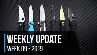 Weekly Update 9 - 2019: Spyderco Endura Wharncliffe, ZT 0393GLCF &amp; Ti2 CWF Pele Custom Flashlight