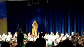 Sawyer the Cowardly Lion