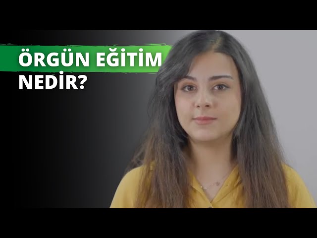 Orgun Egitim Nedir Iienstitu Orgun Egitim Nedir Iienstitu