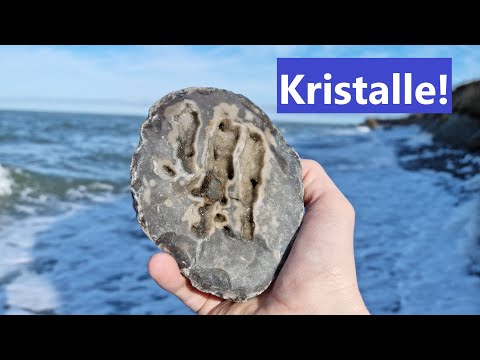 Die besten Funde kommen zum Schluss - Fossilien suchen an der Ostsee