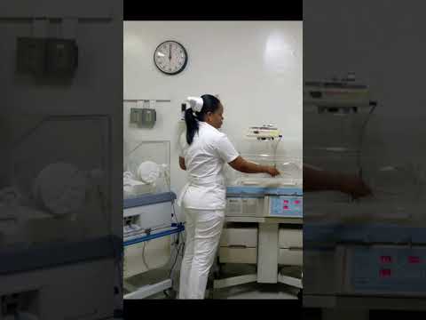 Historia de vida de Colaborador