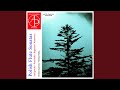 Sonata For Flute And Piano I Allegro Molto