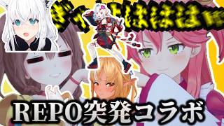 突発で集まったコラボで笑ってはいけないところでツボに入るころさん【ホロライブ切り抜き/さくらみこ/白上フブキ/百鬼あやめ/不知火フレア/戌神ころね】#突発ホロライブ