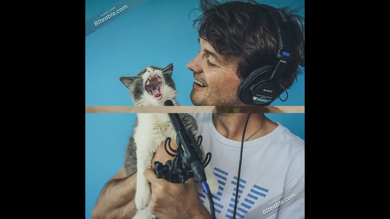 Advertisement - University of the People BUS 3302 Written Assignment Unit 5