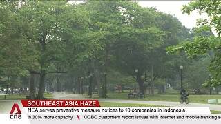 Southeast Asia haze: 10 Singapore firms ordered to give details of links to Indonesian plantations