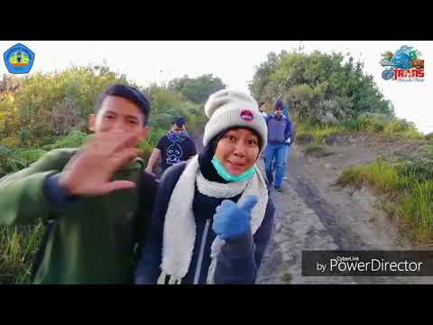 Pil yang mengurangi potensi laki-laki Bagaimana posilen potensi