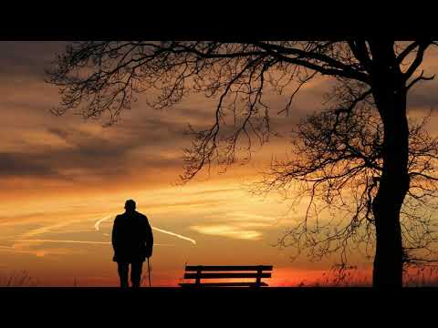 Meu Velho Pai - Léo Canhoto & Robertinho - Com letra em português - With Portuguese lyrics