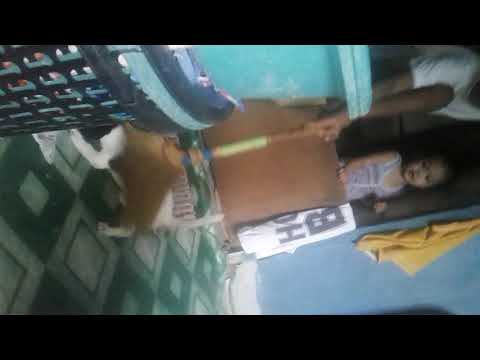 Gamnastik dog hahahahah panood din mo plss