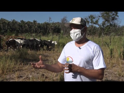 Publicitário deixa vida na cidade para se dedicar í  criação de gado e caprinos 31 07 2021