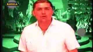 elefantes - asi es la vida