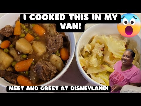 Delicious Homemade Beef Stew  | Here's the Trick to Juicy Roast Beef |  DISNEYLAND Meet & Greet! 🥳
