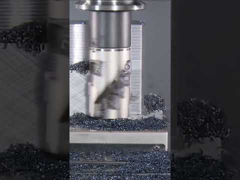 Get Ready to Shred It with TungTri-Shred🔥