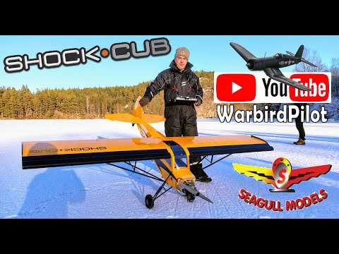 Seagull models - ShockCUB on ICE