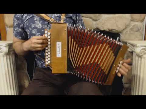 SALTMARDGCW - Cherry Saltarelle Marty Diatonic Button Accordion D G MM 21 8 $1999
