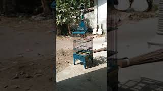 Download lagu CIGUN ngeriwik brem mp3