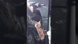 Download lagu #fyp gk yahcccc ^•^👑 mp3