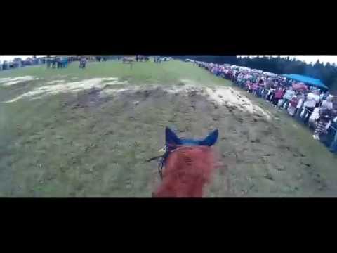 Formanský den Borová 2014