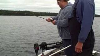 preview picture of video 'CRANE LAKE,Mn TROUT FISHING DAVES GUIDE SERVICE'