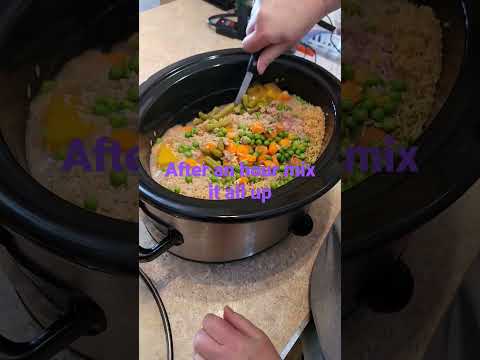 Making Crock pot dog food #dogfooding #dogfood #recipe #freshdogfood