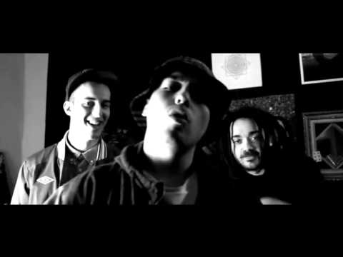 L-Berr - Extracto Samadhi codes