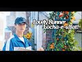 Locha E Ulfat Lovely Runner Hindimix Ryu Sunjae Im Sol FMV