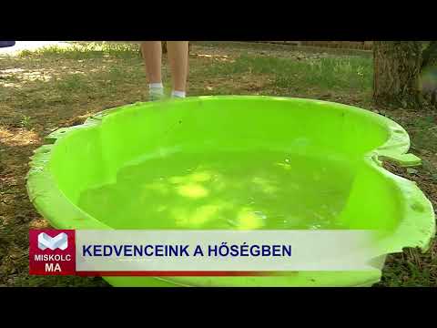 Videó előnézet