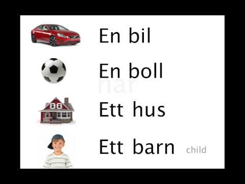 Swedish With Axel - Lesson 1 - Basics