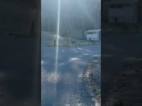 nice level and clean sites