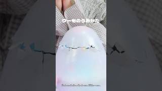 ウーモの生まれ方とお世話を紹介🌟