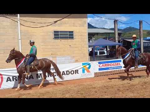 Cavalo de Marcha Batida - II COPA DE MARCHA DE DOM VIÇOSO-MG /2024