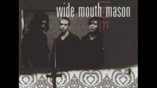 Wide Mouth Mason - Tom Robinson