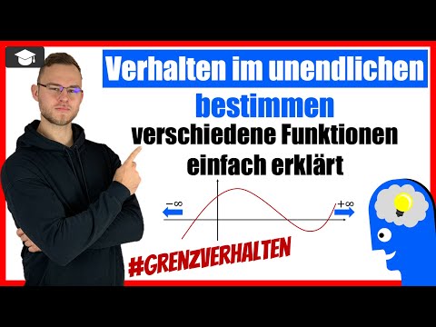 Verhalten im unendlichen bestimmen - Grenzverhalten Beispiel