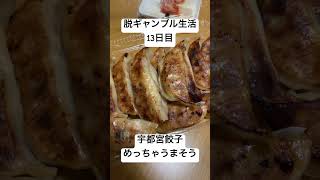 【脱ギャンブル生活13日目】めっちゃうまそうな宇都宮餃子。安くしてもらって、はぴー！！