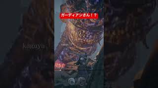 ガーディアンさん！？　　　　　　　#ナイトレイン #バグ