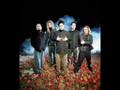 "Speculum"--Adema