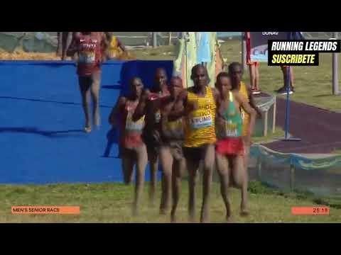 Mundial de Cross Country 2024 - Cross Country Championships Belgrade 24 - RESUMEN