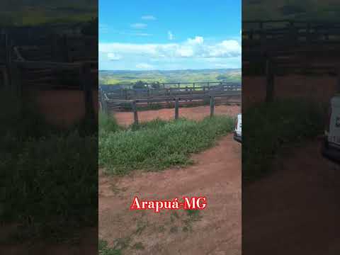 🚔 Presença que protege, trabalho que tranquiliza A viatura da Polícia Militar realiza rondas rurais