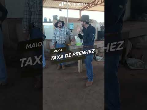 treinamento de Manejo Nada Nas Mãos na Fazenda Lapa do Lobo do Grupo Algar Farming em Paranaíba, MS