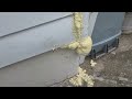 Spray Foam Doesn't Stop Yellow Jackets in Iselin, NJ