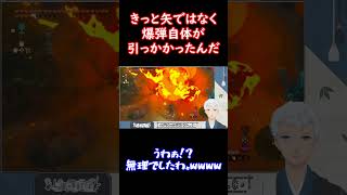 【ゼルダの伝説ティアーズオブザキングダム】隙間。#Shorts