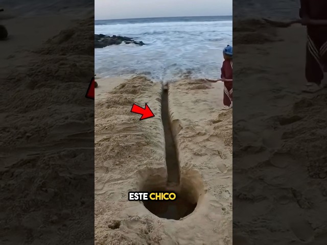 Vídeo relacionado con Jowe - Bola de madera de haya sin orificio, marrón