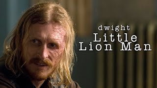 Dwight || Little Lion Man
