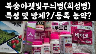 복숭아 잿빛무늬병(회성병) 특성 및 방제? / 작용기작별 등록 농약?