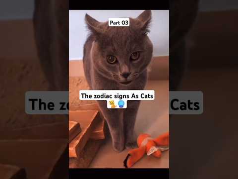 Part 03 | Zodiac Signs as Cats! 🐱✨🔮 #ZodiacCats #AstrologyFun #MeowMagic #zodiac