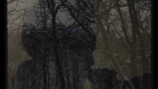 Deine Lakaien - &quot;Forest&quot; [FeliX]