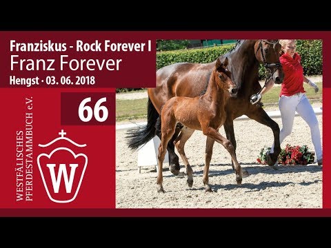 066 Franz Forever HF v. Franziskus - Rock Forever