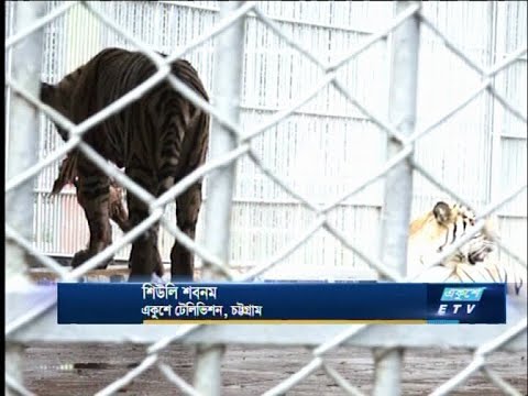টানা লকডাউনে চট্টগ্রাম চিড়িয়াখানায় ৫ মাসে লোকসান প্রায় ২ কোটি টাকা | ETV News