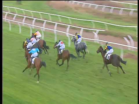 Galoppo 22/03/2018 - 3ª corsa